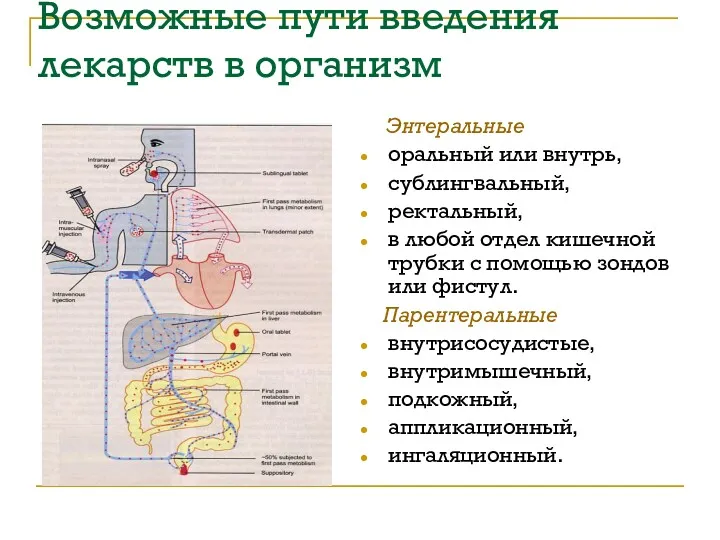 Возможные пути введения лекарств в организм Энтеральные оральный или внутрь,