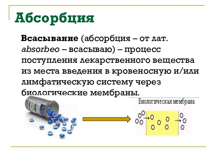 Абсорбция Всасывание (абсорбция – от лат. absorbeo – всасываю) –