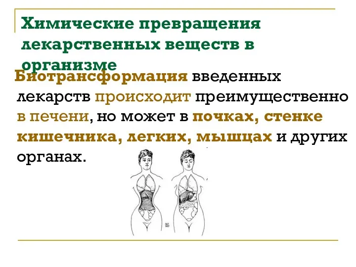 Химические превращения лекарственных веществ в организме Биотрансформация введенных лекарств происходит