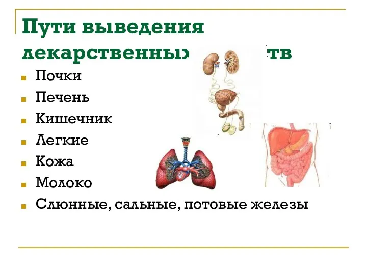 Пути выведения лекарственных веществ Почки Печень Кишечник Легкие Кожа Молоко Слюнные, сальные, потовые железы