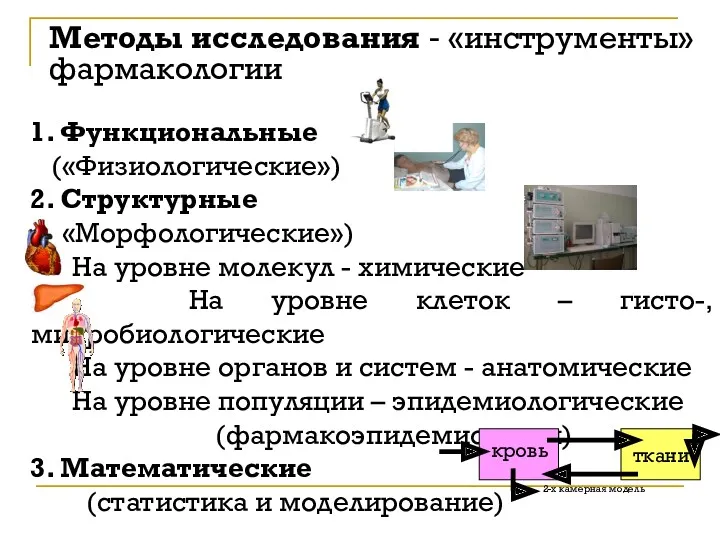 1. Функциональные («Физиологические») 2. Структурные («Морфологические») На уровне молекул -