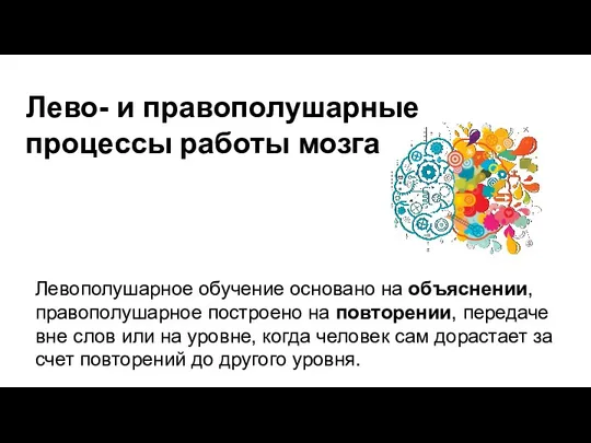 Лево- и правополушарные процессы работы мозга Левополушарное обучение основано на