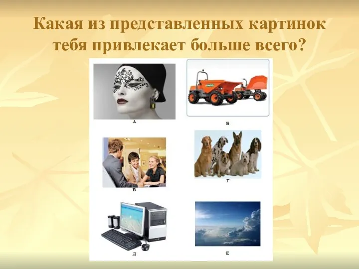 Какая из представленных картинок тебя привлекает больше всего?