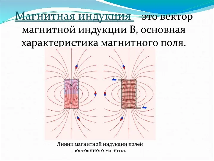 Магнитная индукция – это вектор магнитной индукции В, основная характеристика магнитного поля. Линии
