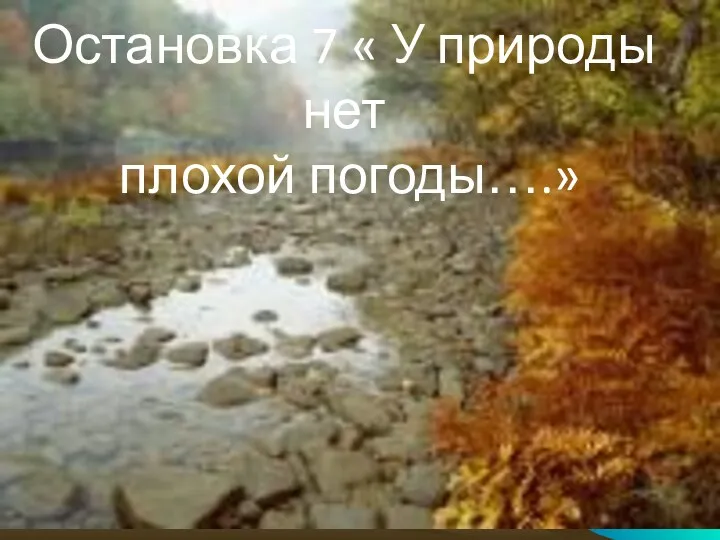 Остановка 7 « У природы нет плохой погоды….»