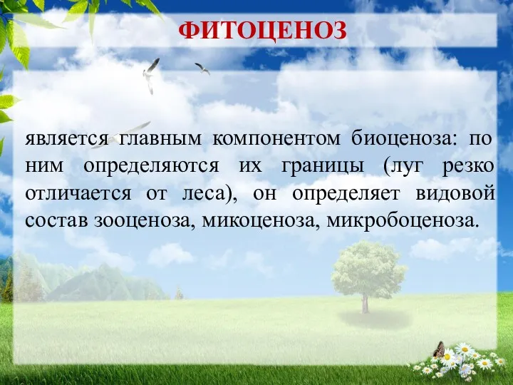 является главным компонентом биоценоза: по ним определяются их границы (луг резко отличается от