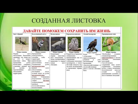 СОЗДАННАЯ ЛИСТОВКА