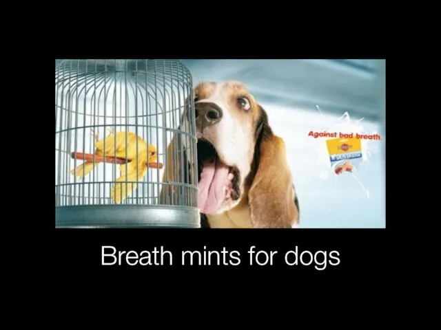 Breath mints for dogs