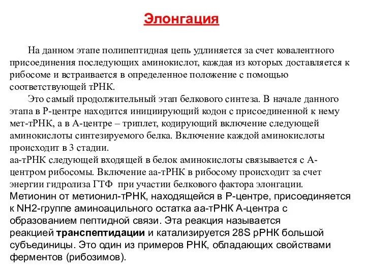 Элонгация На данном этапе полипептидная цепь удлиняется за счет ковалентного