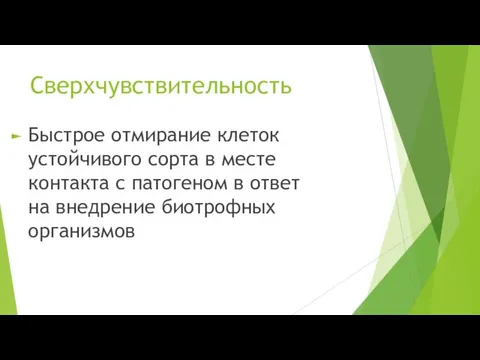 Сверхчувствительность Быстрое отмирание клеток устойчивого сорта в месте контакта с патогеном в ответ