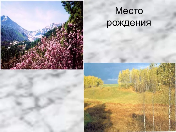 Место рождения