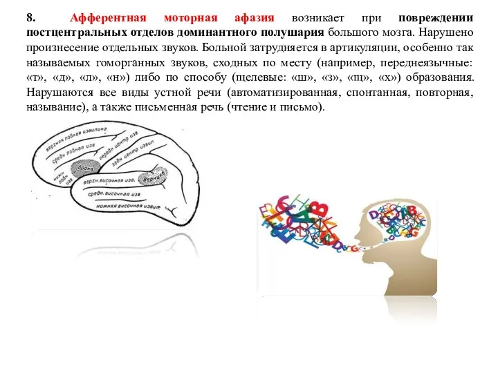 8. Афферентная моторная афазия возникает при повреждении постцентральных отделов доминантного