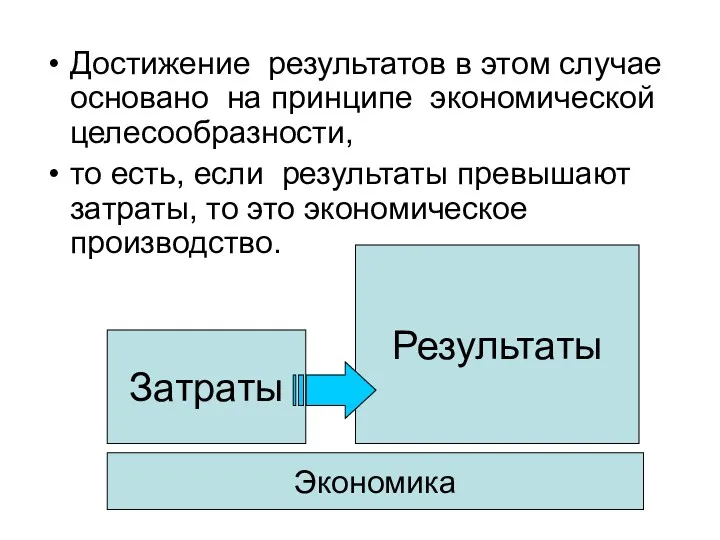 Достижение результатов в этом случае основано на принципе экономической целесообразности,