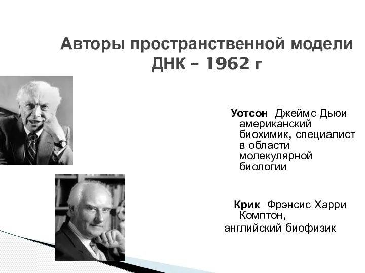 Авторы пространственной модели ДНК – 1962 г Уотсон Джеймс Дьюи