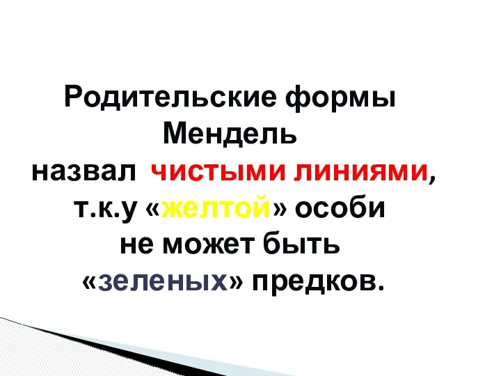 Родительские формы Мендель назвал чистыми линиями, т.к.у «желтой» особи не может быть «зеленых» предков.