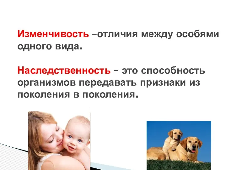 Изменчивость –отличия между особями одного вида. Наследственность – это способность