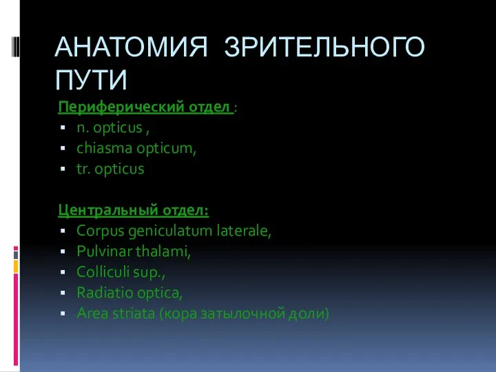 АНАТОМИЯ ЗРИТЕЛЬНОГО ПУТИ Периферический отдел : n. opticus , chiasma