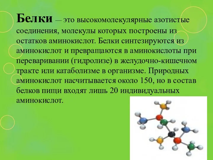 Белки — это высокомолекулярные азотистые соединения, молекулы которых построены из