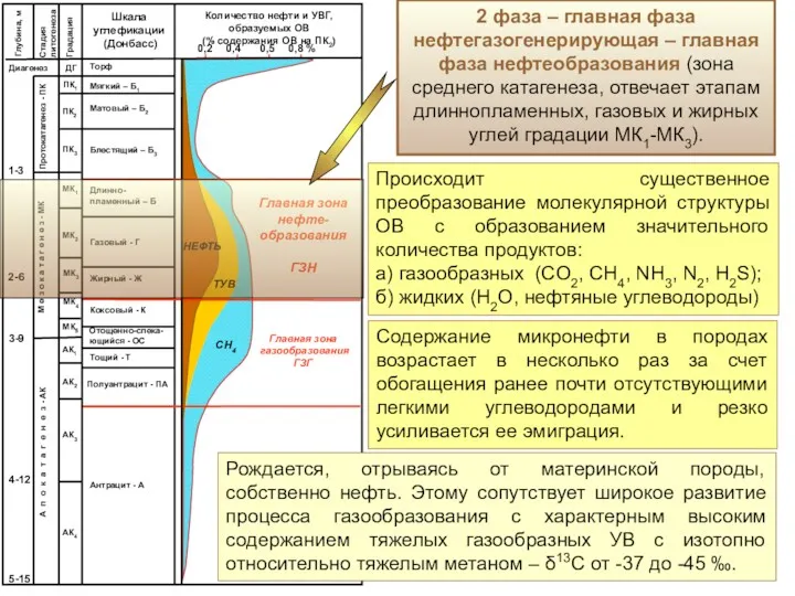 2 фаза – главная фаза нефтегазогенерирующая – главная фаза нефтеобразования (зона среднего катагенеза,