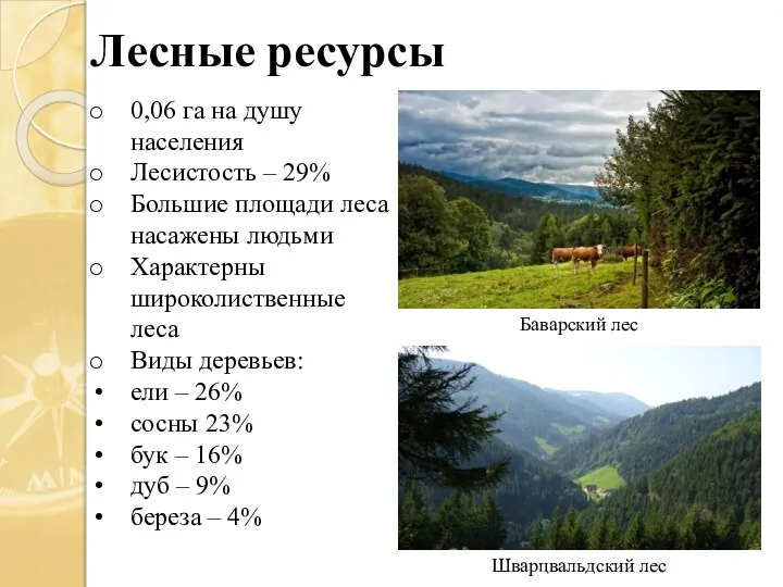 Лесные ресурсы Баварский лес Шварцвальдский лес 0,06 га на душу