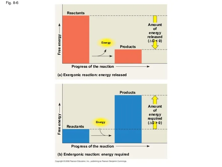 Fig. 8-6 Reactants Energy Free energy Products Amount of energy