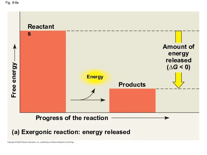 Fig. 8-6a Energy (a) Exergonic reaction: energy released Progress of