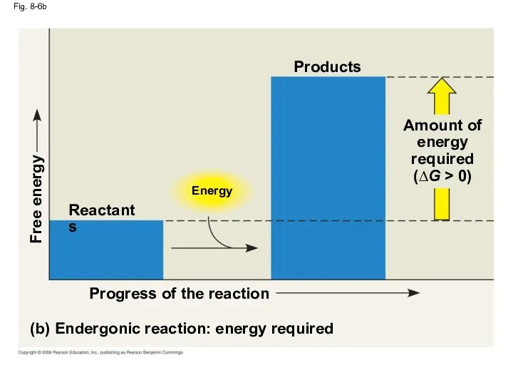 Fig. 8-6b Energy (b) Endergonic reaction: energy required Progress of