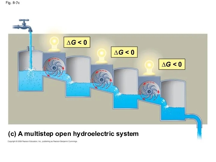 Fig. 8-7c (c) A multistep open hydroelectric system ∆G ∆G ∆G