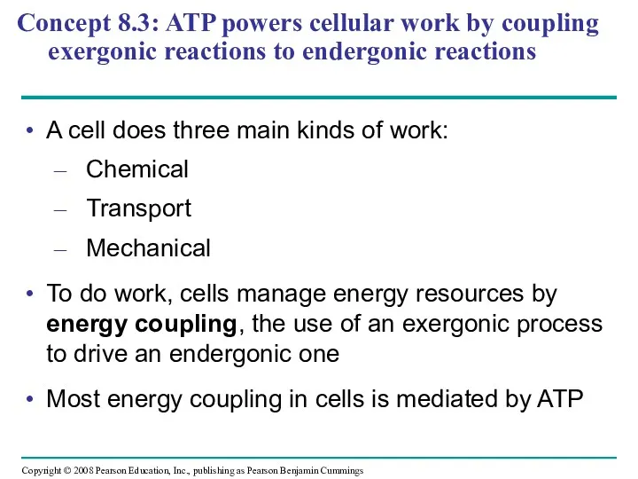 Concept 8.3: ATP powers cellular work by coupling exergonic reactions