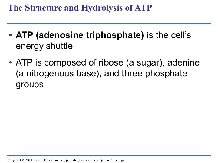 The Structure and Hydrolysis of ATP ATP (adenosine triphosphate) is