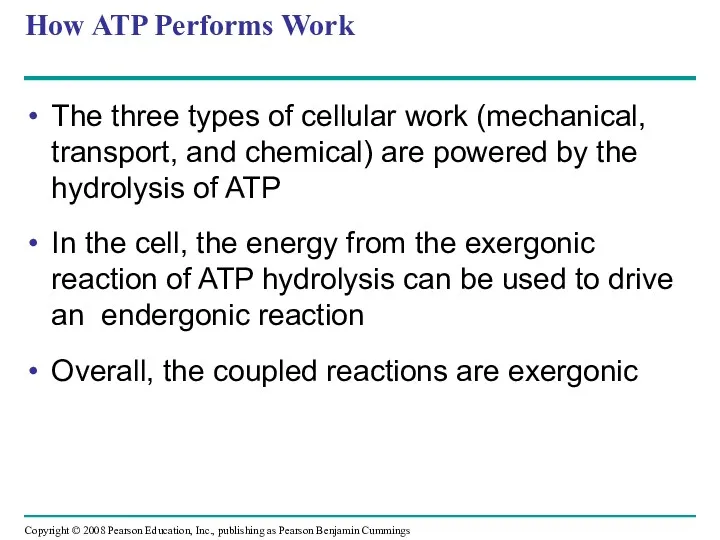 How ATP Performs Work The three types of cellular work
