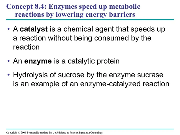 Concept 8.4: Enzymes speed up metabolic reactions by lowering energy