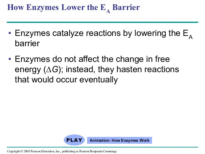 How Enzymes Lower the EA Barrier Enzymes catalyze reactions by