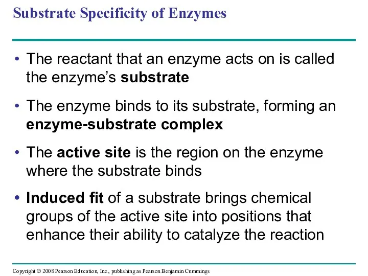 Substrate Specificity of Enzymes The reactant that an enzyme acts