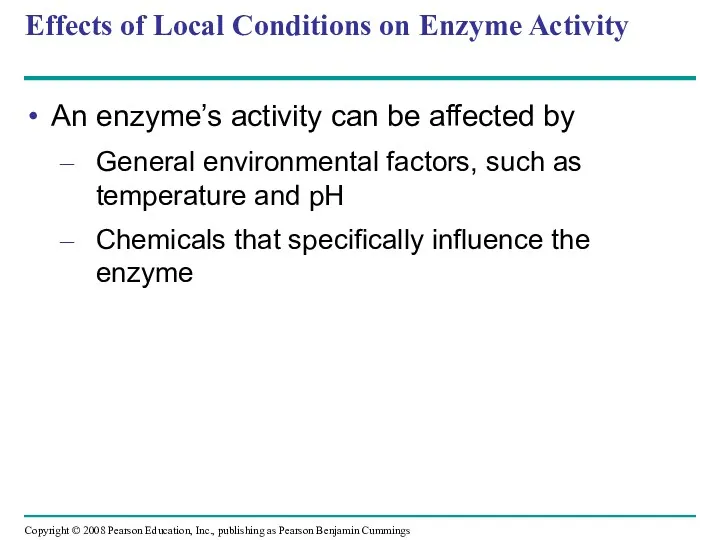 Effects of Local Conditions on Enzyme Activity An enzyme’s activity