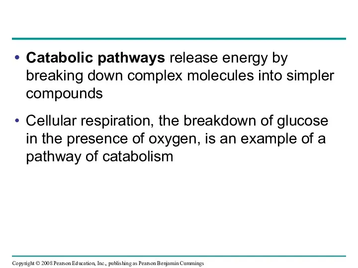 Catabolic pathways release energy by breaking down complex molecules into