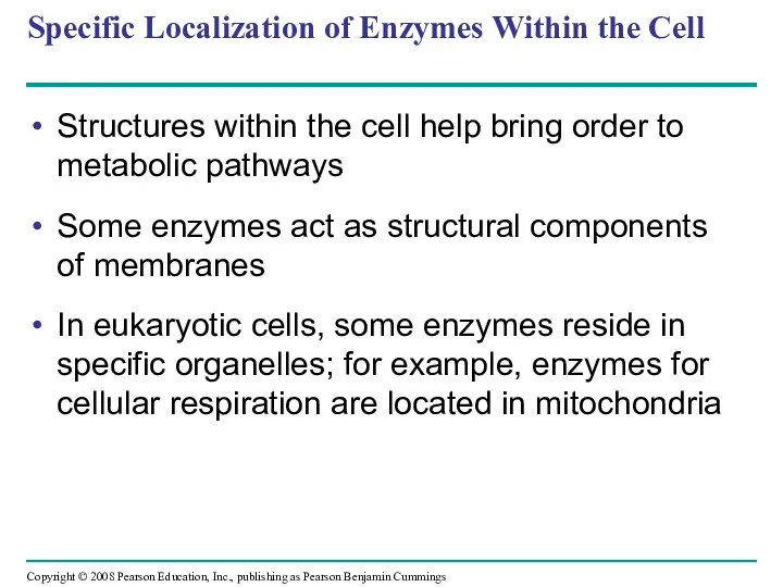 Specific Localization of Enzymes Within the Cell Structures within the