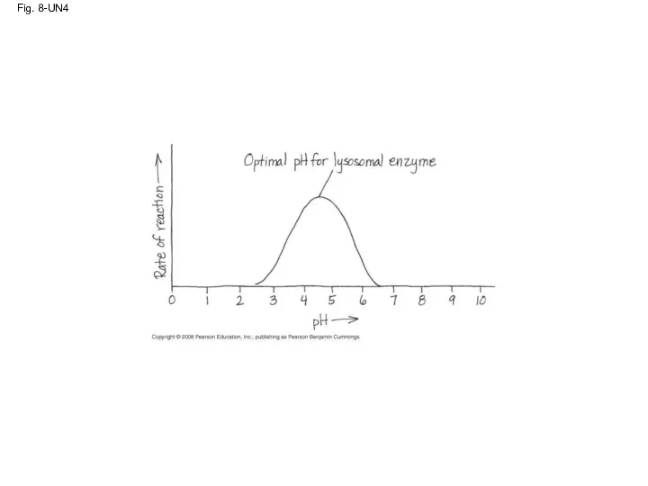 Fig. 8-UN4