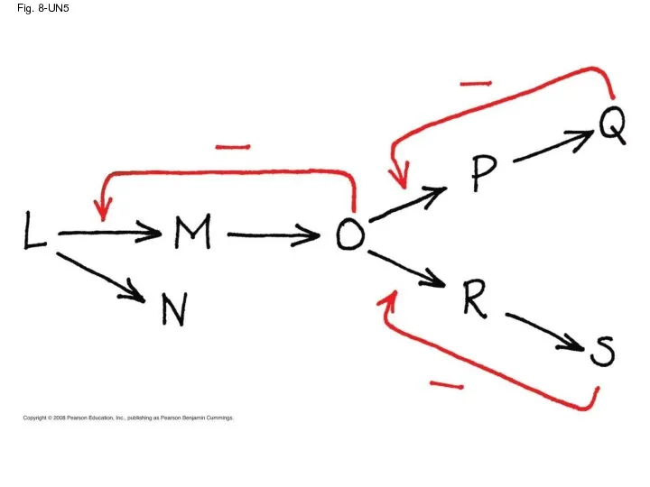 Fig. 8-UN5