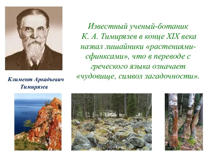 Климент Аркадьевич Тимирязев Известный ученый-ботаник К. А. Тимирязев в конце XIX века назвал