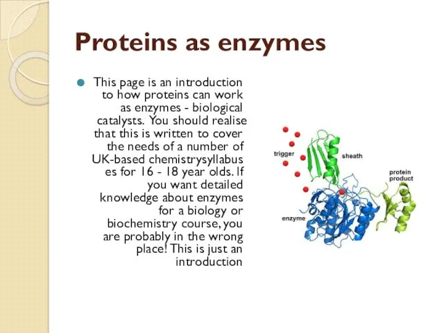 Proteins as enzymes This page is an introduction to how proteins can work