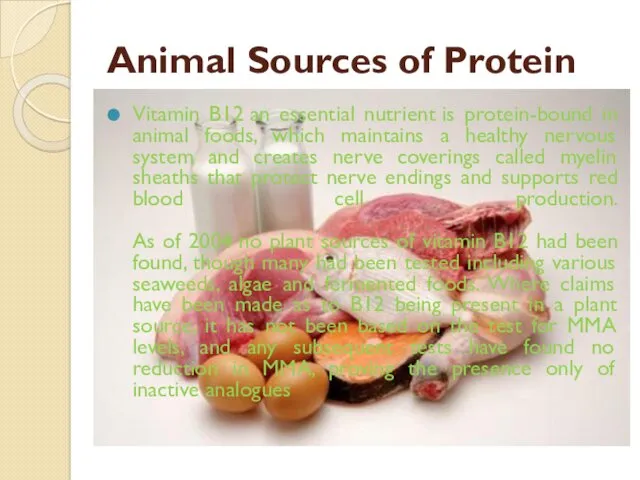 Animal Sources of Protein Vitamin B12 an essential nutrient is protein-bound in animal