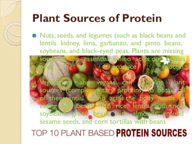 Plant Sources of Protein Nuts, seeds, and legumes (such as