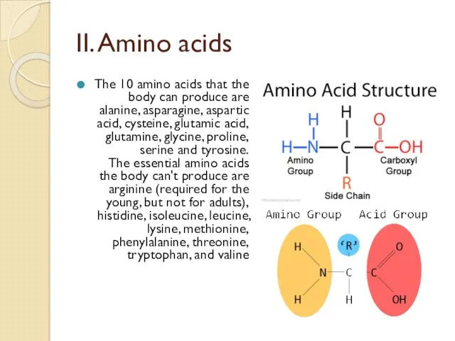 II. Amino acids The 10 amino acids that the body can produce are