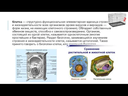 Клетка — структурно-функциональная элементарная единица строения и жизнедеятельности всех организмов