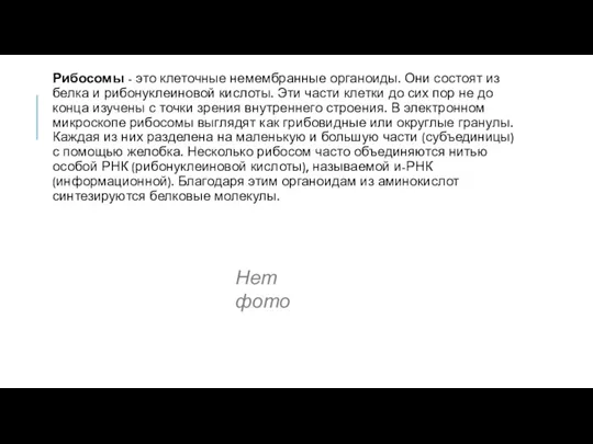 Рибосомы - это клеточные немембранные органоиды. Они состоят из белка