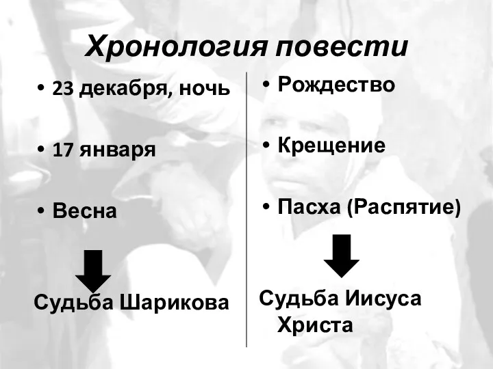 Хронология повести 23 декабря, ночь 17 января Весна Судьба Шарикова