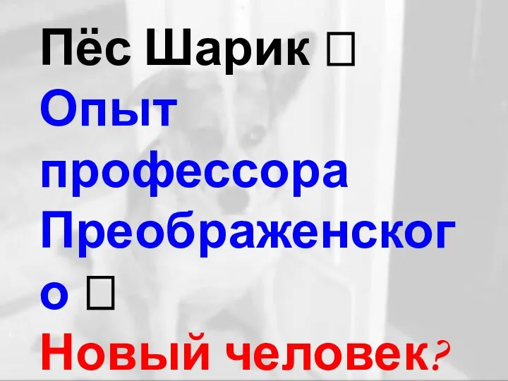 Пёс Шарик ? Опыт профессора Преображенского ? Новый человек?