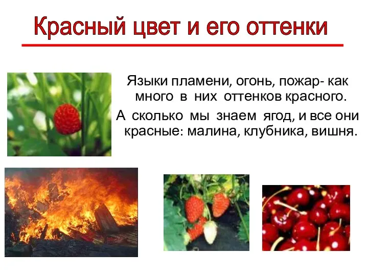 Языки пламени, огонь, пожар- как много в них оттенков красного.