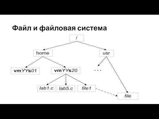 Файл и файловая система